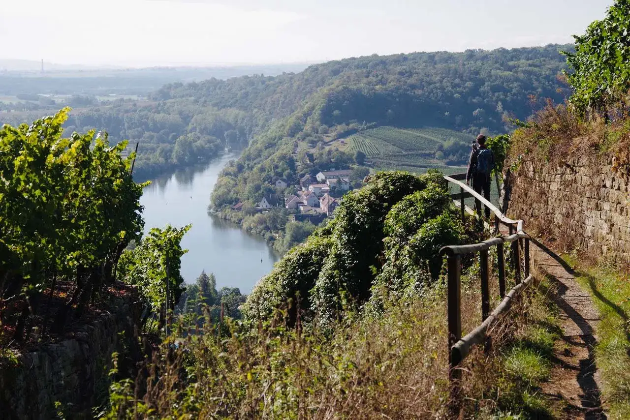 Wanderer genießt die Aussicht vom Aussichtspunkt Ludwigsburg über das Neckartal mit Weinbergen und einem Dorf.