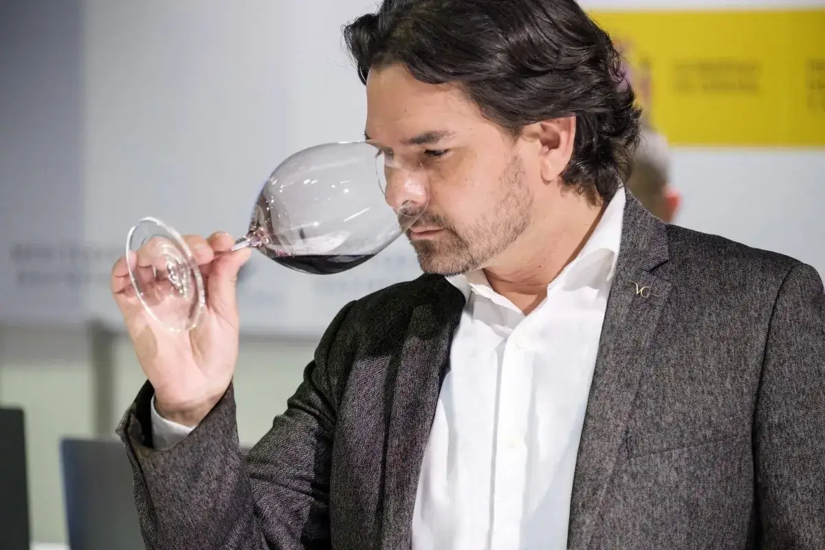 Hombre con traje gris huele vino tinto en copa. ¿Cuánto cobra un catador de vinos? Su experiencia es valiosa.