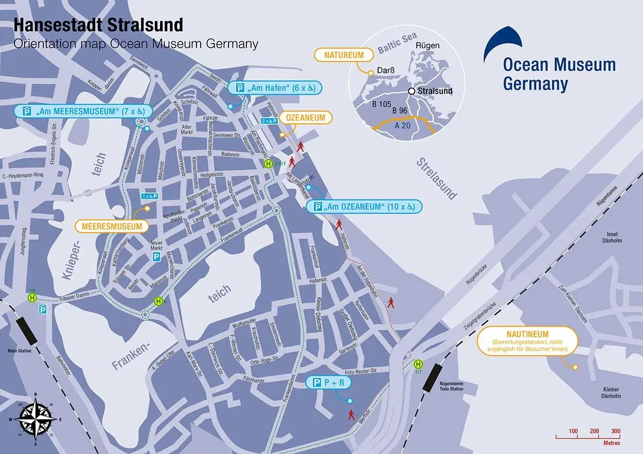 Ozeaneum Stralsund cennik 2024