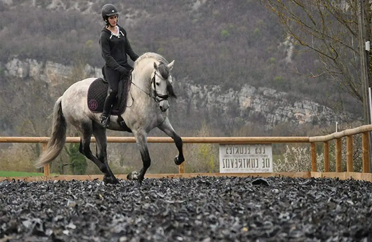 Une cavalière et son cheval gris évoluent sur le sol d'une carrière équestre, dans un cadre naturel.