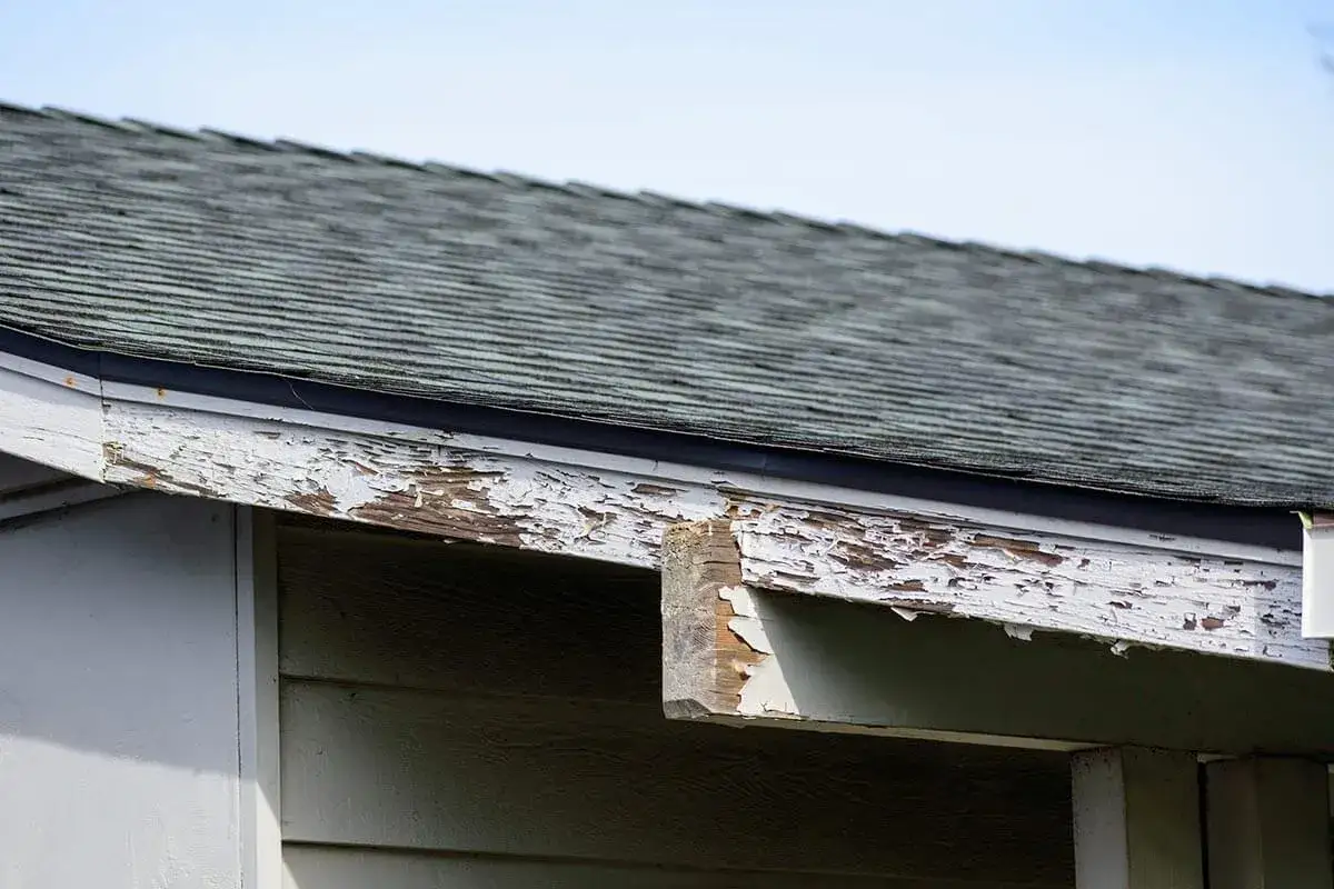 Peeling paint on a damaged fascia board indicates the need for fascia board replacement.