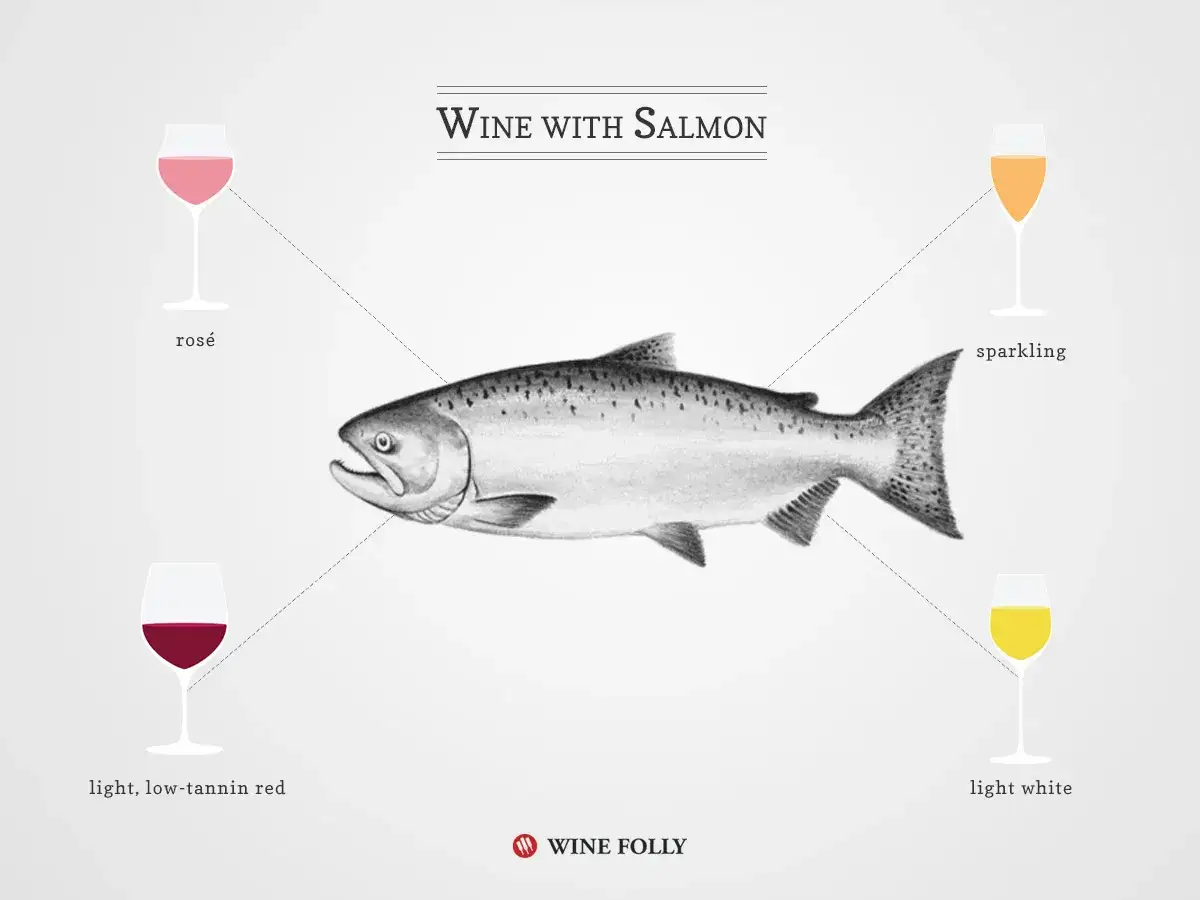 En illustration som visar en lax med fyra glas vin: rosé, lätt rött, vitt och bubbel. Perfekt vin till fisk!