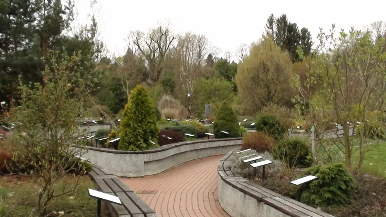 Ogród botaniczny z alejkami, ławkami i tabliczkami informacyjnymi. Wiosenne **bolestraszyce atrakcje** zachwycają zielenią i kwitnącymi krzewami.