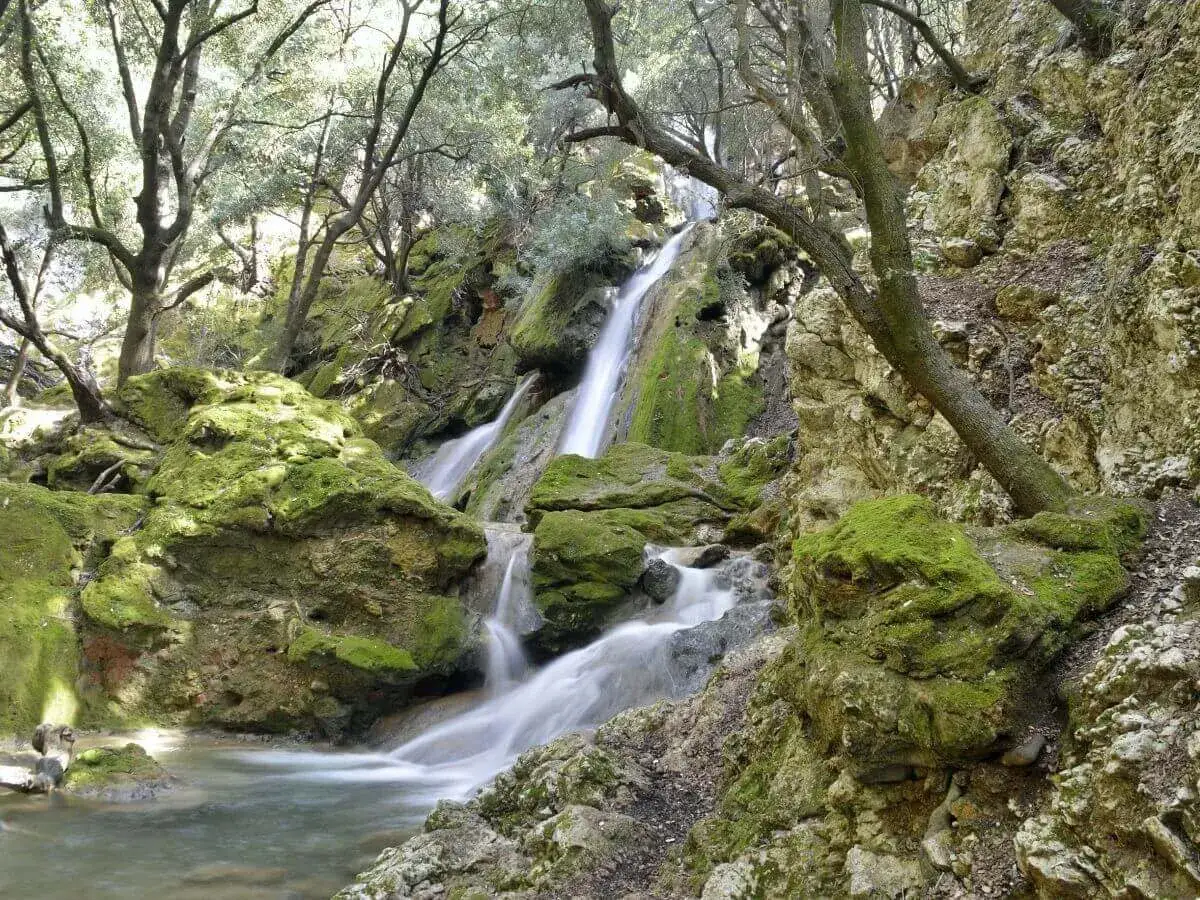 Cascada de **es salt des freu** entre rocas cubiertas de musgo y &aacute;rboles frondosos. El agua cae en cascada, creando un paisaje sereno y natural.