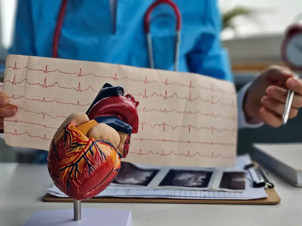 Model serca i EKG. Lekarz analizuje zapis, by ocenić stan pacjenta. Polfenon może być pomocny w diagnostyce.