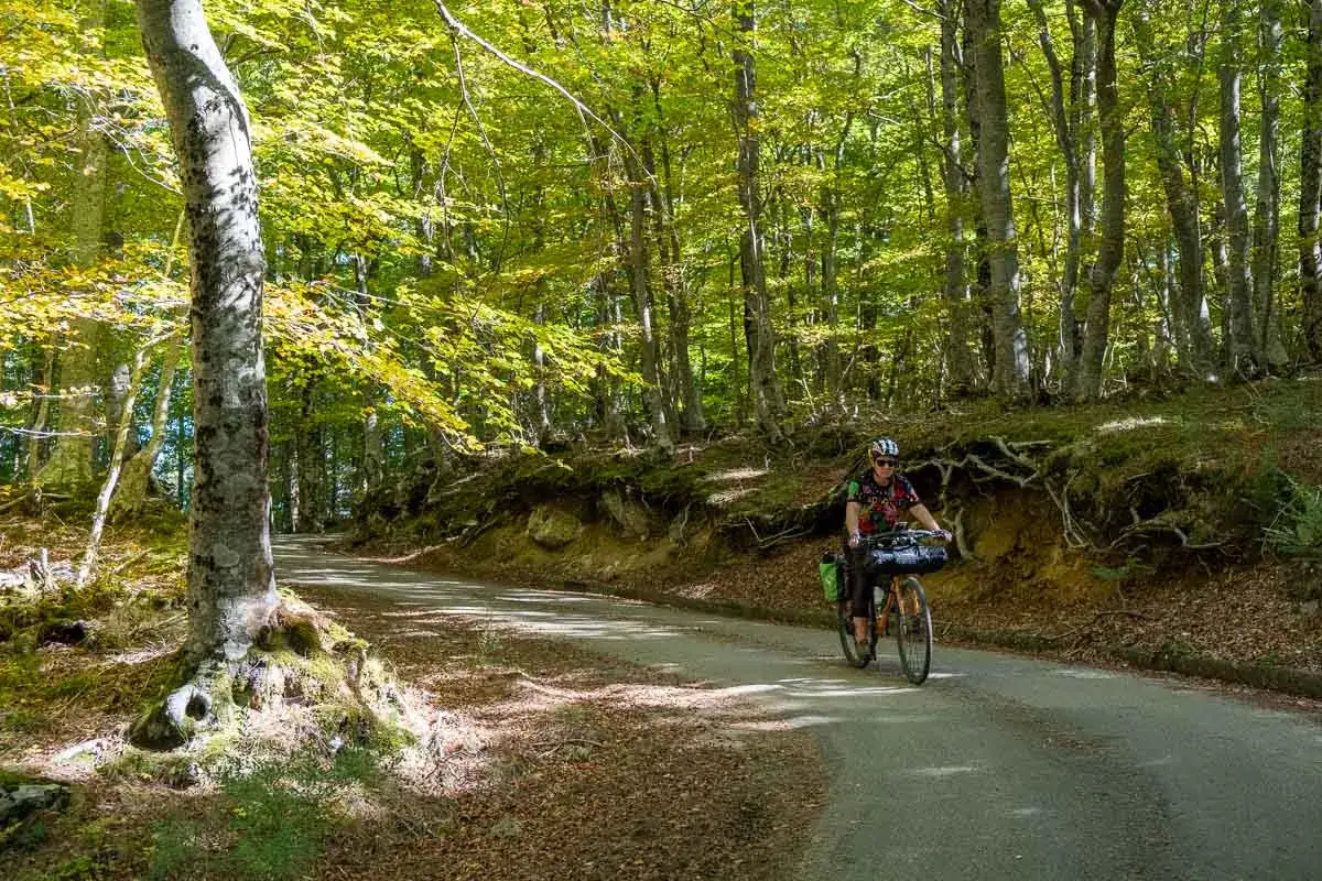 Ciclista pedala su strada nel bosco, parte della ciclovia dei parchi Calabria, tra alberi secolari e foglie autunnali.