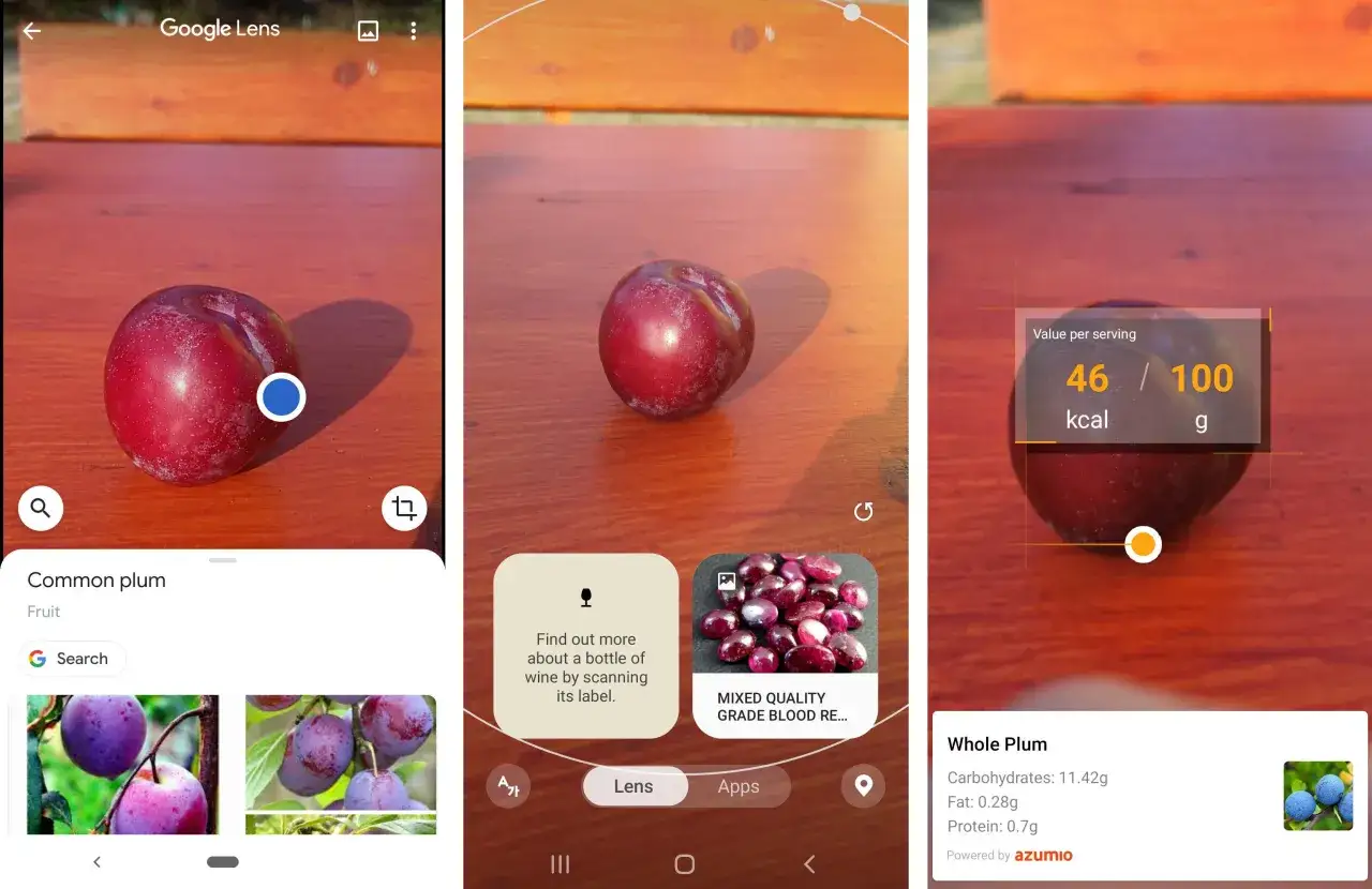 Bixby Vision co to? Aplikacja rozpoznaje śliwkę, podając jej kaloryczność i składniki odżywcze.