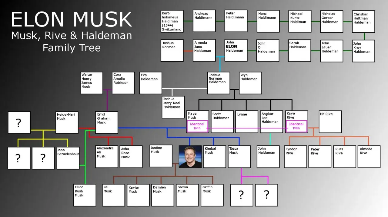 Drzewo genealogiczne Elona Muska, uwzględniające jego żony i przodk&oacute;w. Widać tu m.in. Maye Musk, jego matkę, oraz jego dzieci.