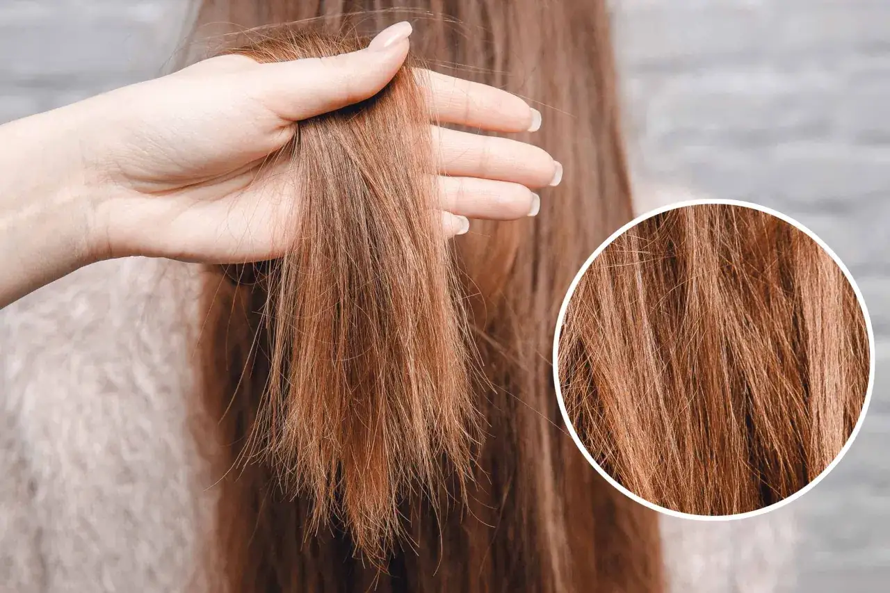 Nahaufnahme von braunem Haar, das gespaltene Spitzen zeigt. Verschiedene spliss arten sind sichtbar, was auf Haarsch&auml;den hindeutet.
