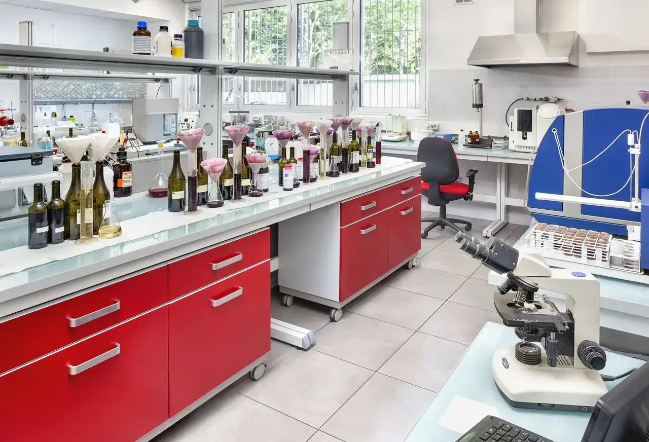 Laboratorio di analisi vino: bottiglie, provette e filtri. L'enologo cosa fa? Analizza campioni per garantire la qualità.