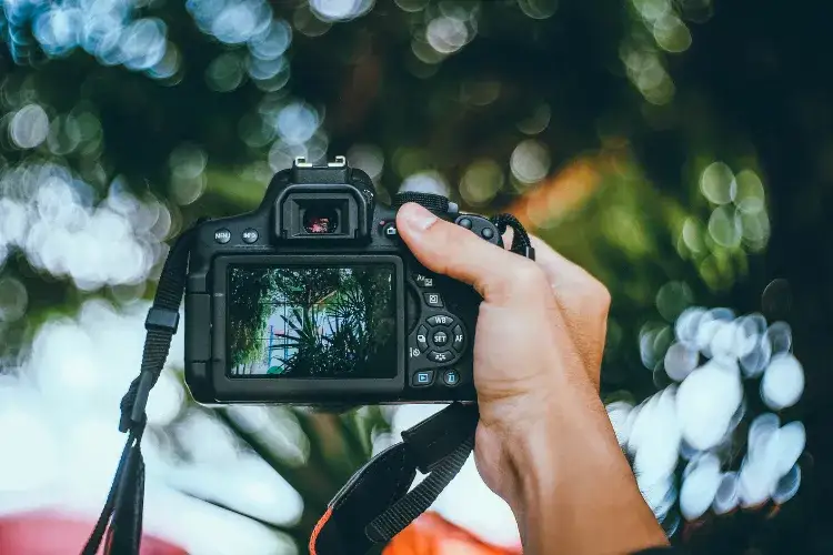 sprzęt fotograficzny profesjonalny