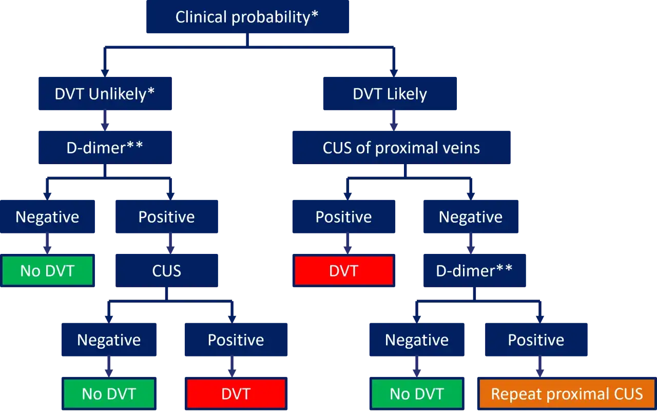 Algorytm diagnostyczny DVT. D-dimery a stan zapalny pomagają ocenić prawdopodobieństwo zakrzepicy żył głębokich.