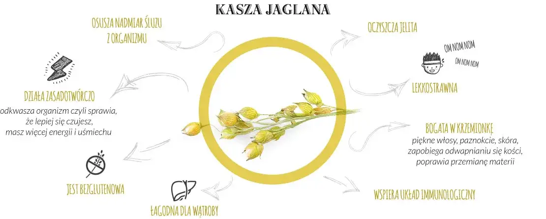 Kasza jaglana i jej wartości odżywcze infografika