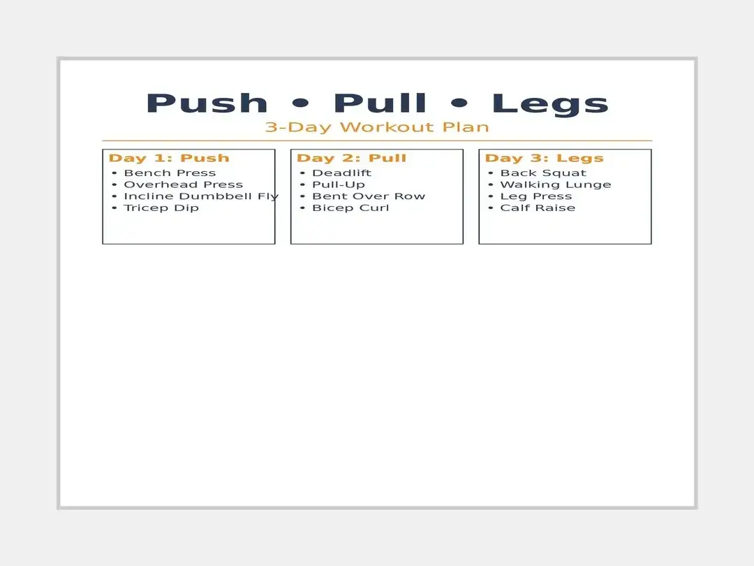 grafika mięśnie push pull legs, podział mięśni na grupy
