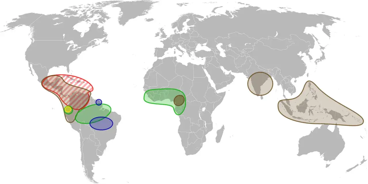 Mapa pochodzenia kakaowca Amazonia