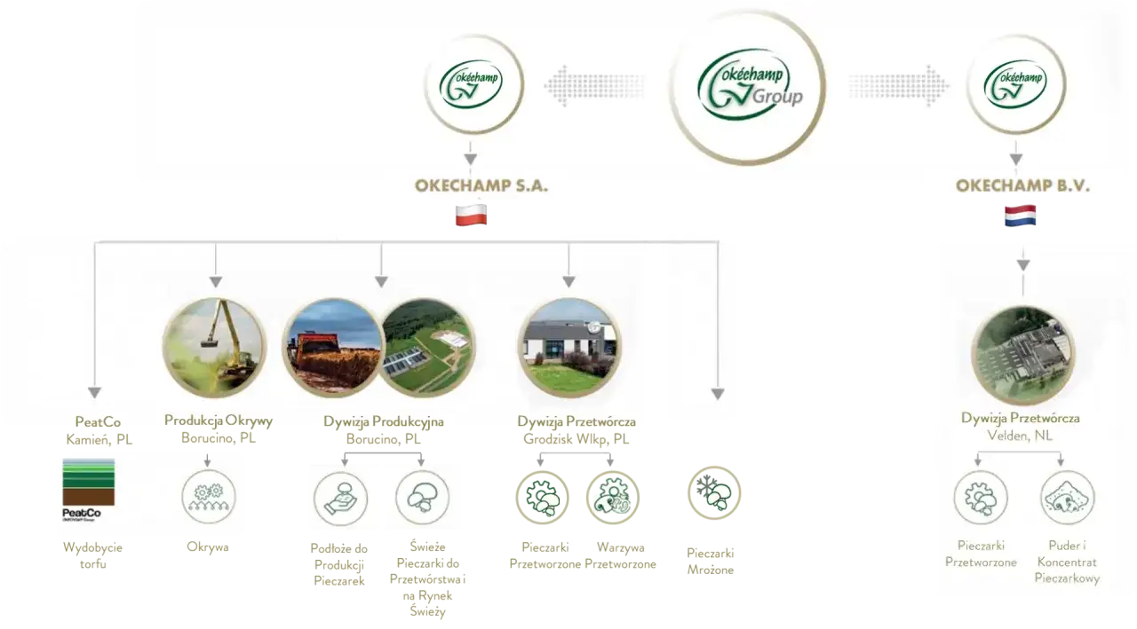Schemat przedstawiający procesy produkcyjne i przetwórcze firmy Okechamp w Europie.