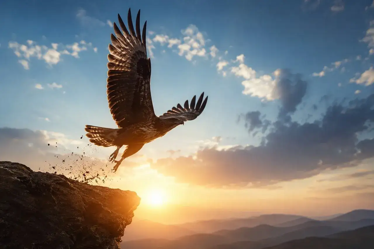 Ein Adler stürzt sich von einem Felsen in die Lüfte, die Flügel ausgebreitet, im warmen Licht des Sonnenuntergangs. Er erneuert seine Kraft, wie in Jesaja 40, 31 beschrieben.