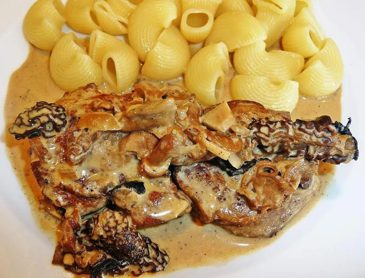 Filet mignon cocotte en sauce crémeuse aux morilles, servi avec des pâtes type conchiglie. Un plat savoureux et réconfortant.