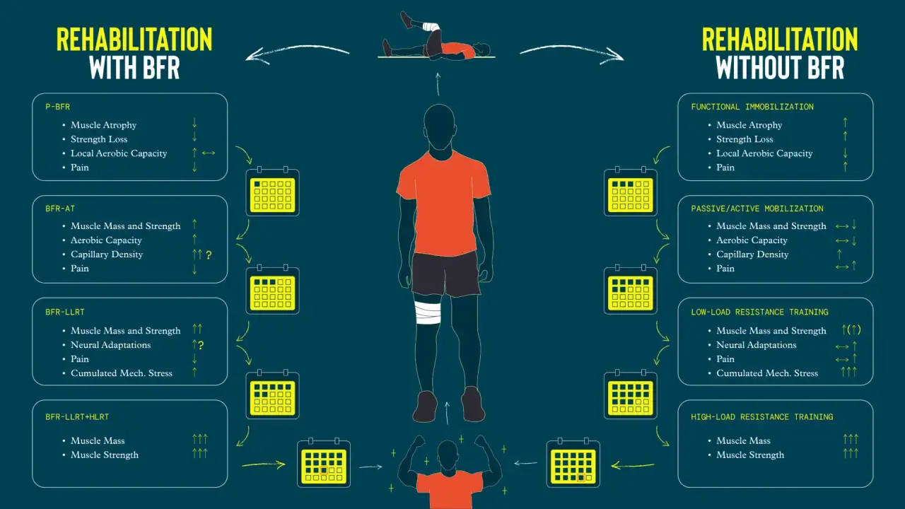 Comparaison des m&eacute;thodes de r&eacute;&eacute;ducation avec et sans bfr kin&eacute;. L'image montre les effets sur la masse musculaire, la force et la douleur.
