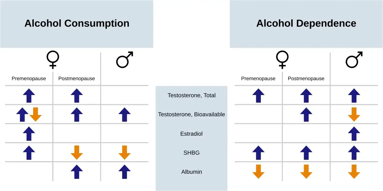 Wykres pokazuje, jak alkohol wpływa na testosteron i inne hormony u kobiet i mężczyzn. Zależność: testosteron a alkohol.