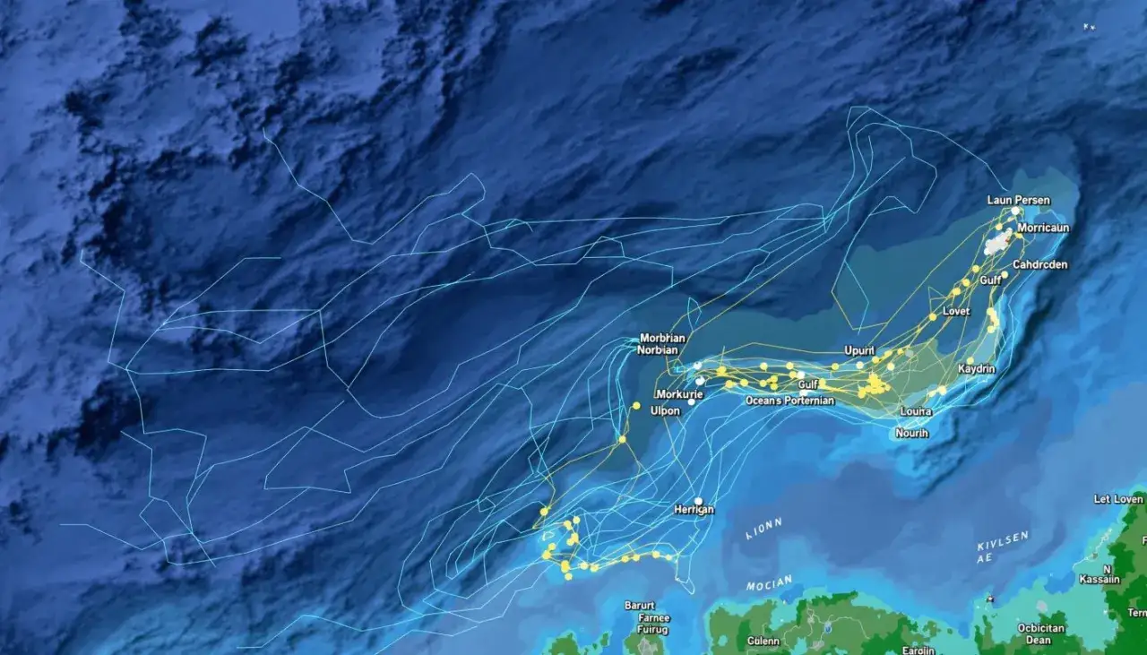 Carte des courants marins en Bretagne, montrant des trajectoires bleues et jaunes sur fond océanique.