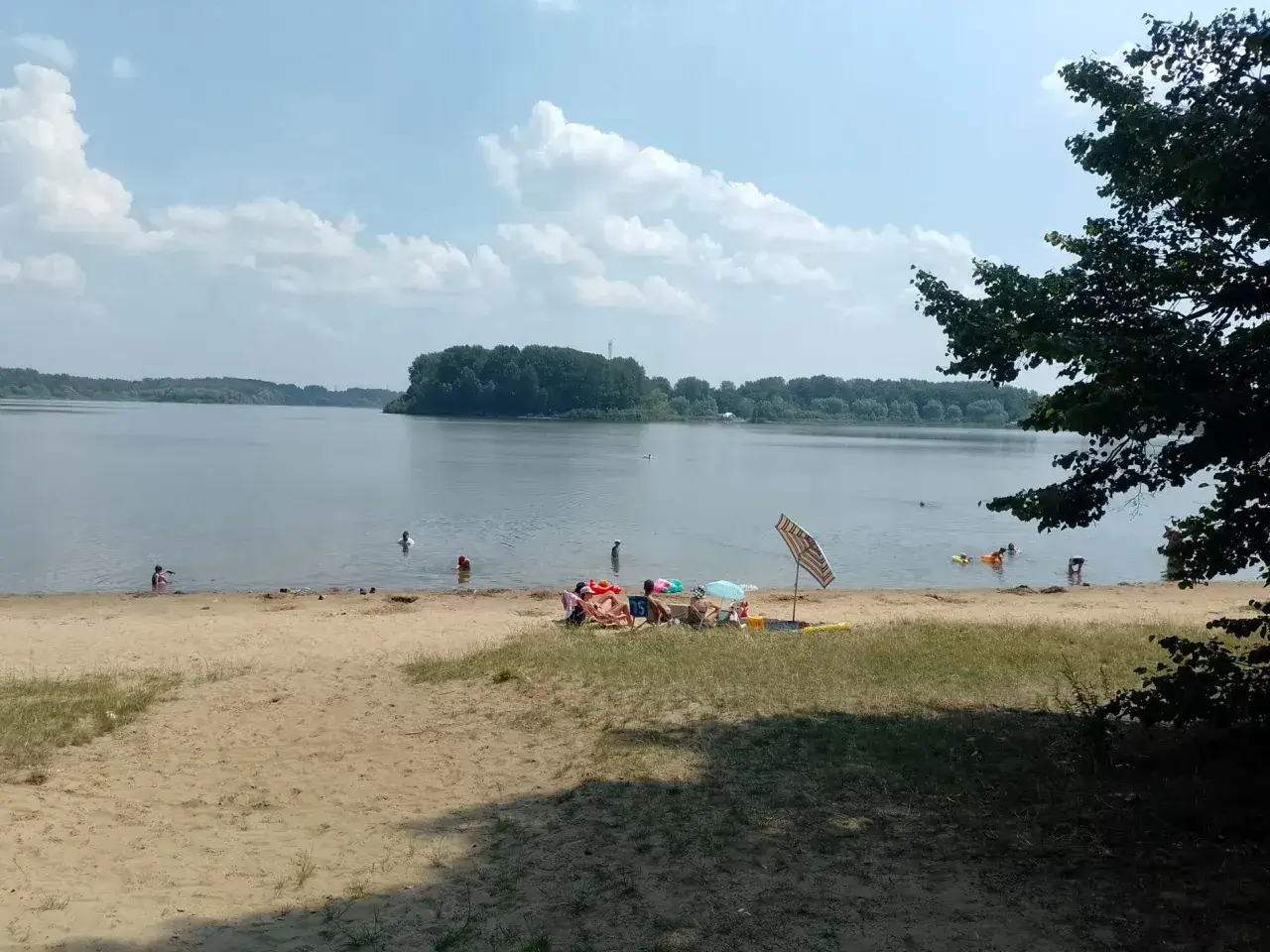 Słoneczny dzień nad jeziorem przeczyckim. Ludzie odpoczywają na plaży i kąpią się w wodzie.