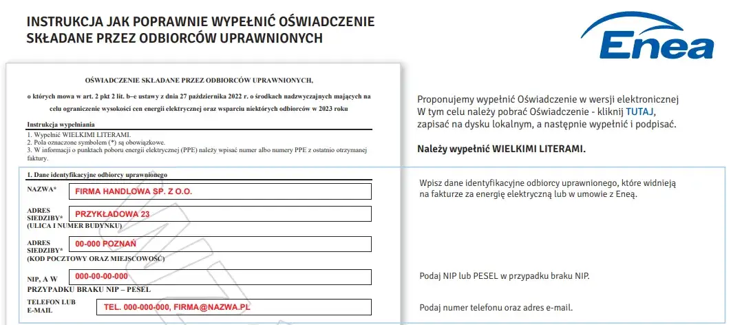 Wzór oświadczenia o zamrożenie cen prądu 2025