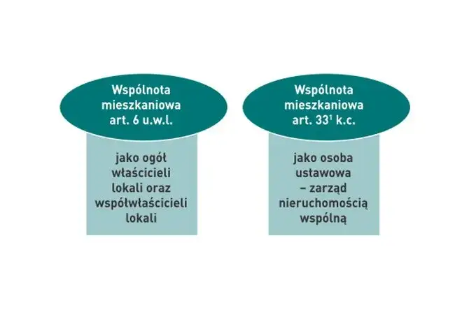 Zarządzanie nieruchomością wsp&oacute;lną w sp&oacute;łdzielni i wsp&oacute;lnocie