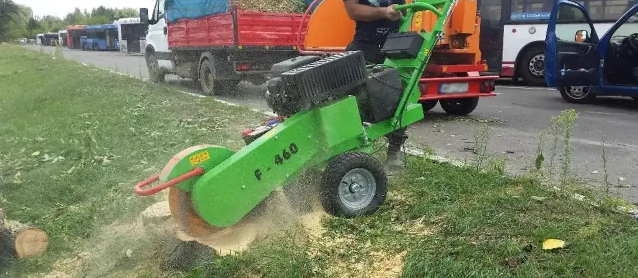 Zielona frezarka do korzeni F-460 pracuje przy drodze, usuwając pozostałości po ściętym drzewie. W tle widać autobusy i ciężarówkę.