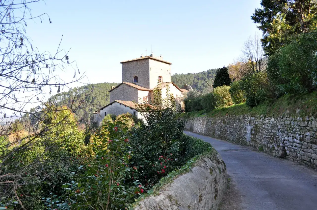 Strada panoramica verso Sant'Andrea di Compito, con edifici in pietra e vegetazione rigogliosa.