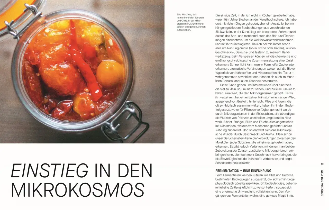 Ein Glas mit fermentierten Tomaten und Chilis, bereit f&uuml;r k&ouml;stliche fermentieren rezepte. Die Mikroorganismen entfalten einzigartige Aromen.