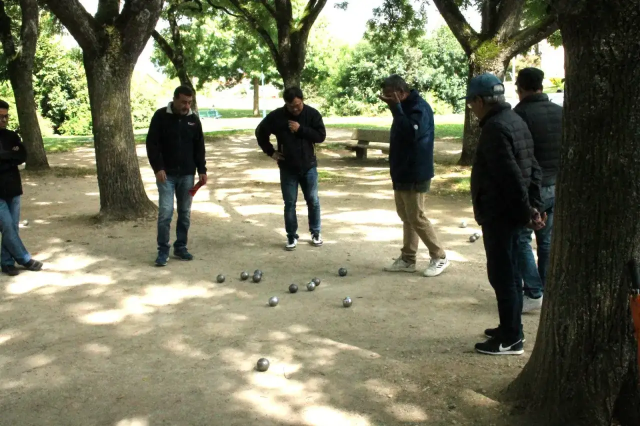 Des hommes jouent &agrave; la p&eacute;tanque sous les arbres. Les boules sont dispers&eacute;es sur le sol sablonneux, pr&ecirc;ts pour la prochaine partie.