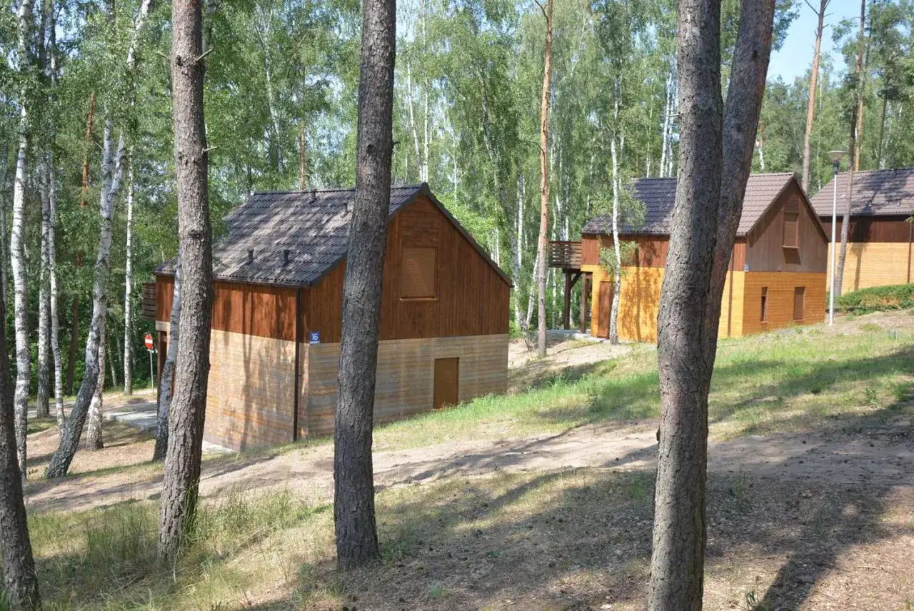 Drewniane domki letniskowe w lesie. Sprawdź płotki, piłę i cenę tych uroczych domków.