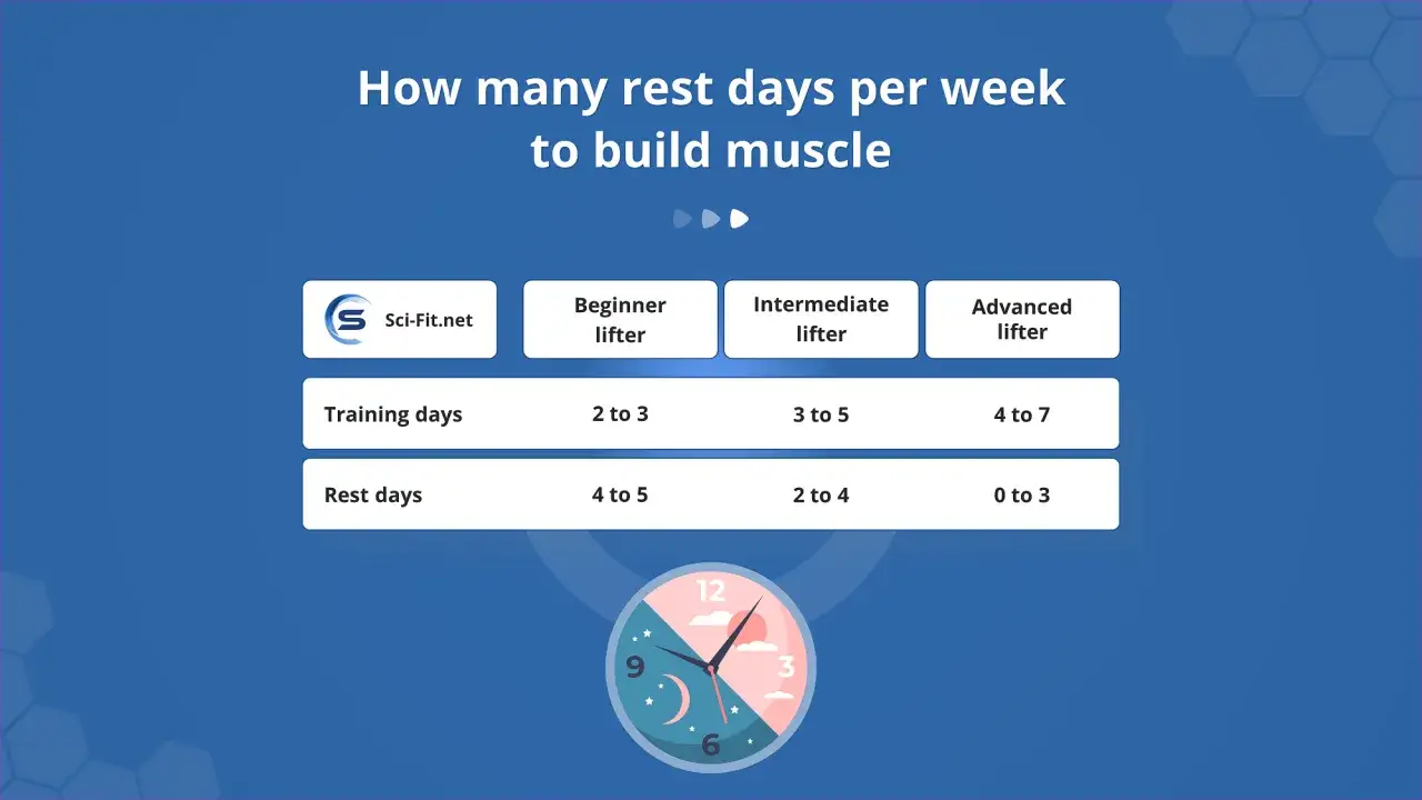 Tableau comparatif des jours d'entra&icirc;nement et de repos par semaine pour la musculation, selon le niveau. Un jour de repos musculation est essentiel.
