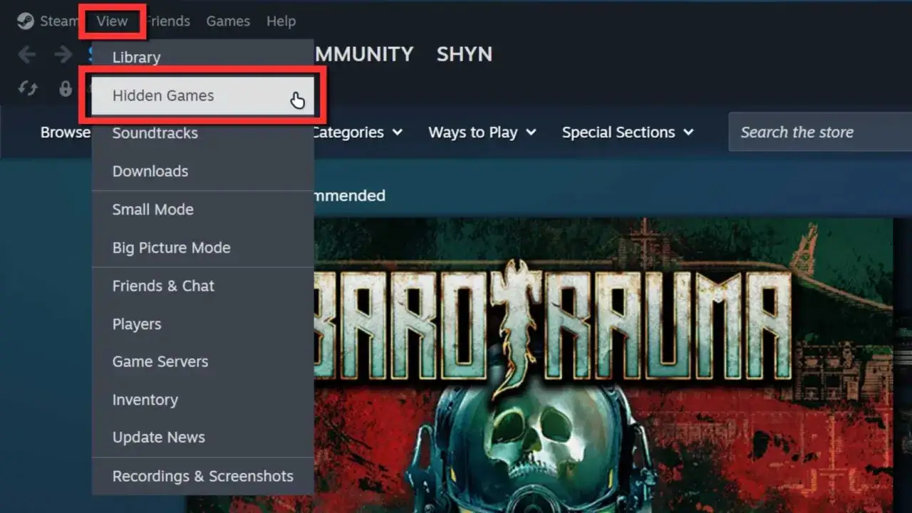 Menu Steam, opcja