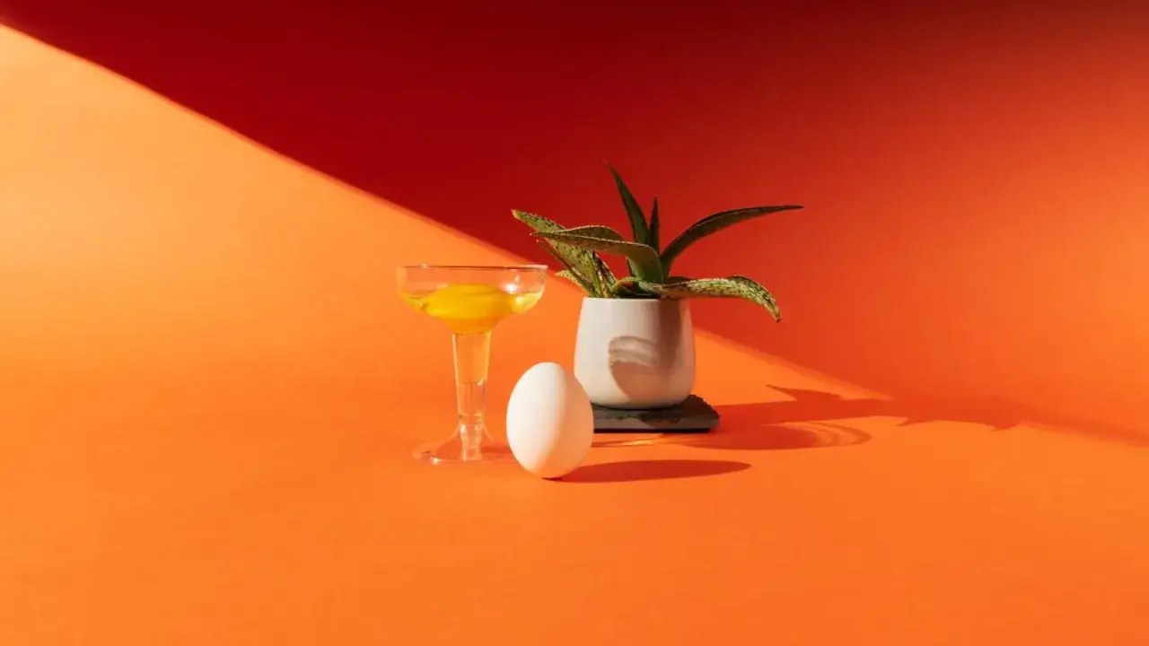 Foto still life: un uovo bianco, un bicchiere con tuorlo d'uovo e una pianta in vaso su sfondo arancione con ombre nette.