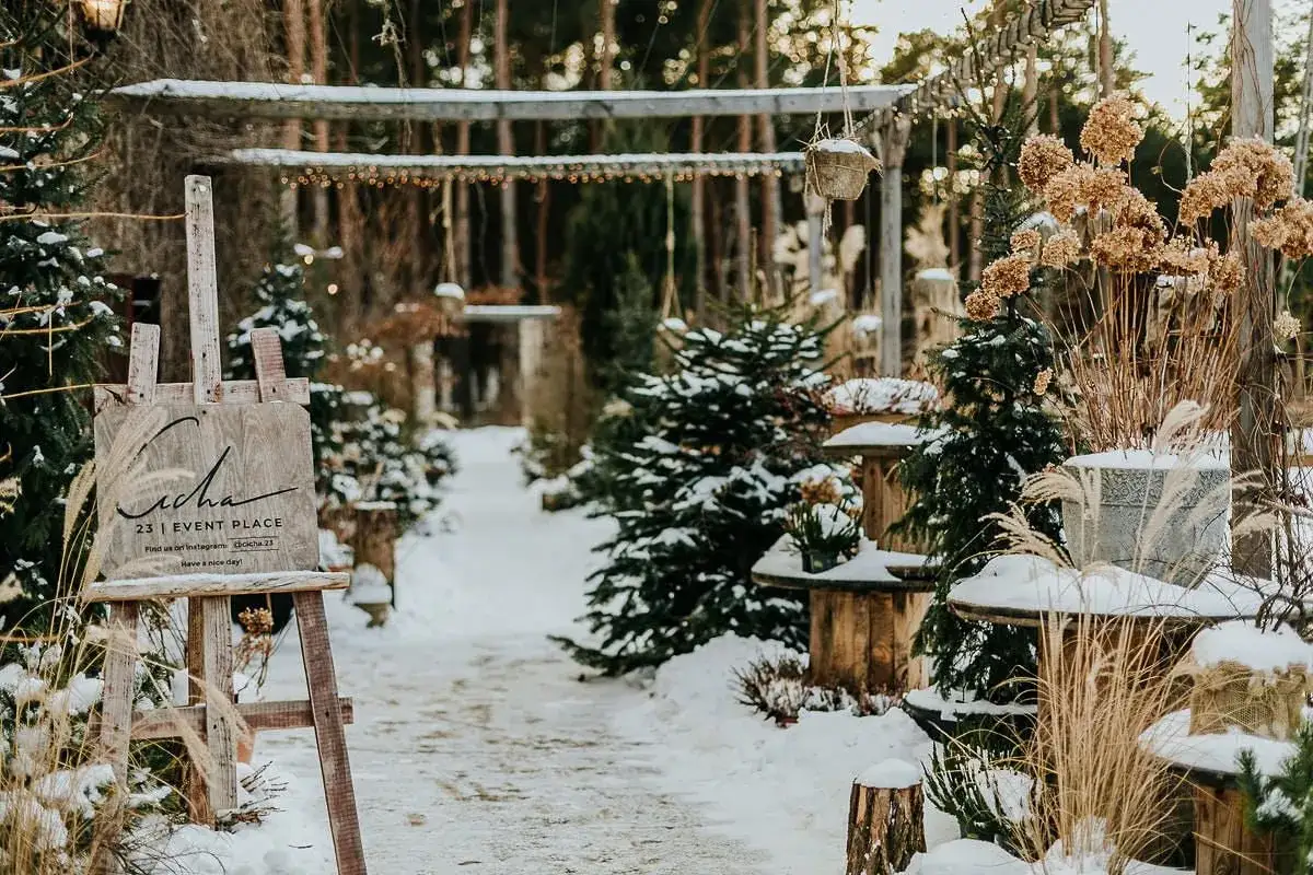Urocze zimowe dekoracje ślubne w lesie. Śnieg, choinki i drewniane elementy tworzą magiczną atmosferę.