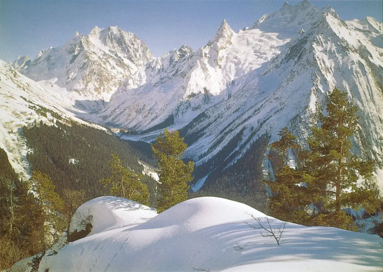 Śnieżne góry z elbrusem w tle, pokryte lasem iglastym.
