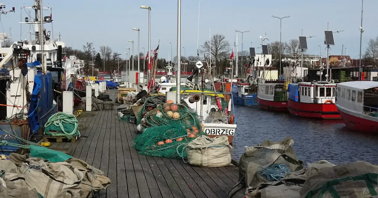 port rybacki kołobrzeg sprzedaż ryb