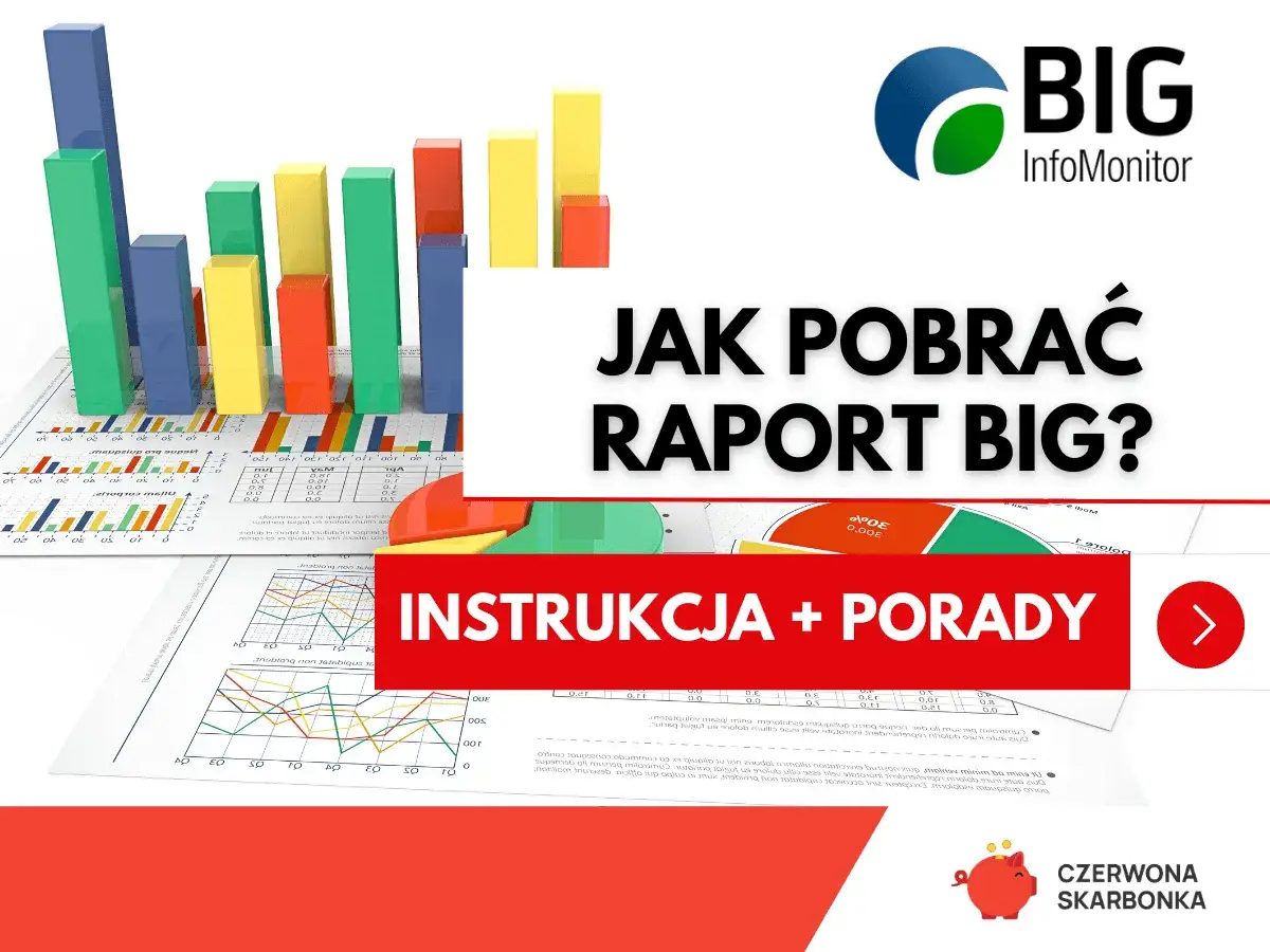 Wykresy i raporty BIG InfoMonitor. Dowiedz się, jak pobrać informację o zadłużeniu. Instrukcja i porady.