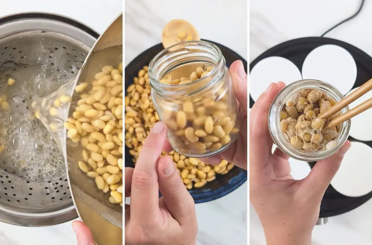 Schritt-f&uuml;r-Schritt-Anleitung, wie man natto selber machen kann: Sojasprossen kochen, in ein Glas f&uuml;llen und mit St&auml;bchen fermentieren.