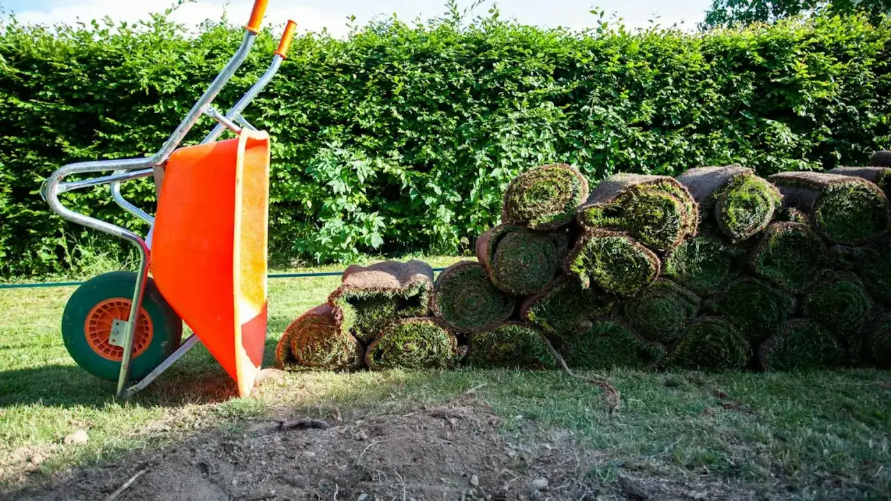 Pomarańczowa taczka obok stosu zrolowanej trawy, gotowej do układania.