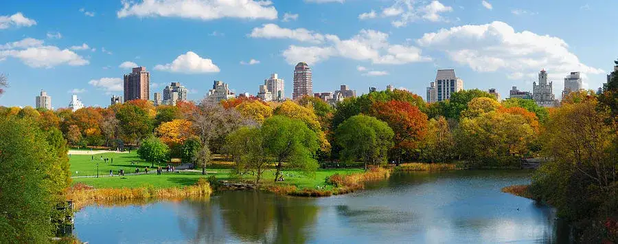 Nowy Jork panorama Central Park