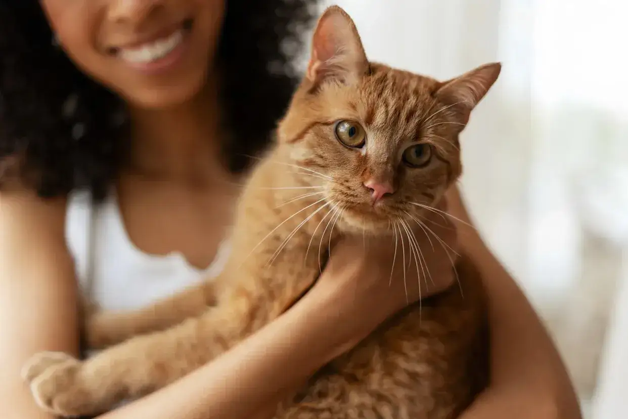 A smiling person holds an orange tabby cat, a clear sign your cat imprinted on you.