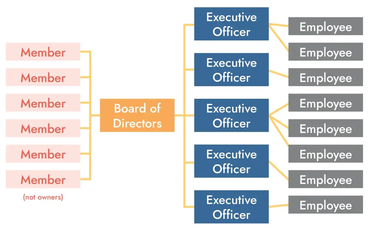 Organizational chart showing members, Board of Directors, and Executive Officers who manage employees. An executive officer leads teams.