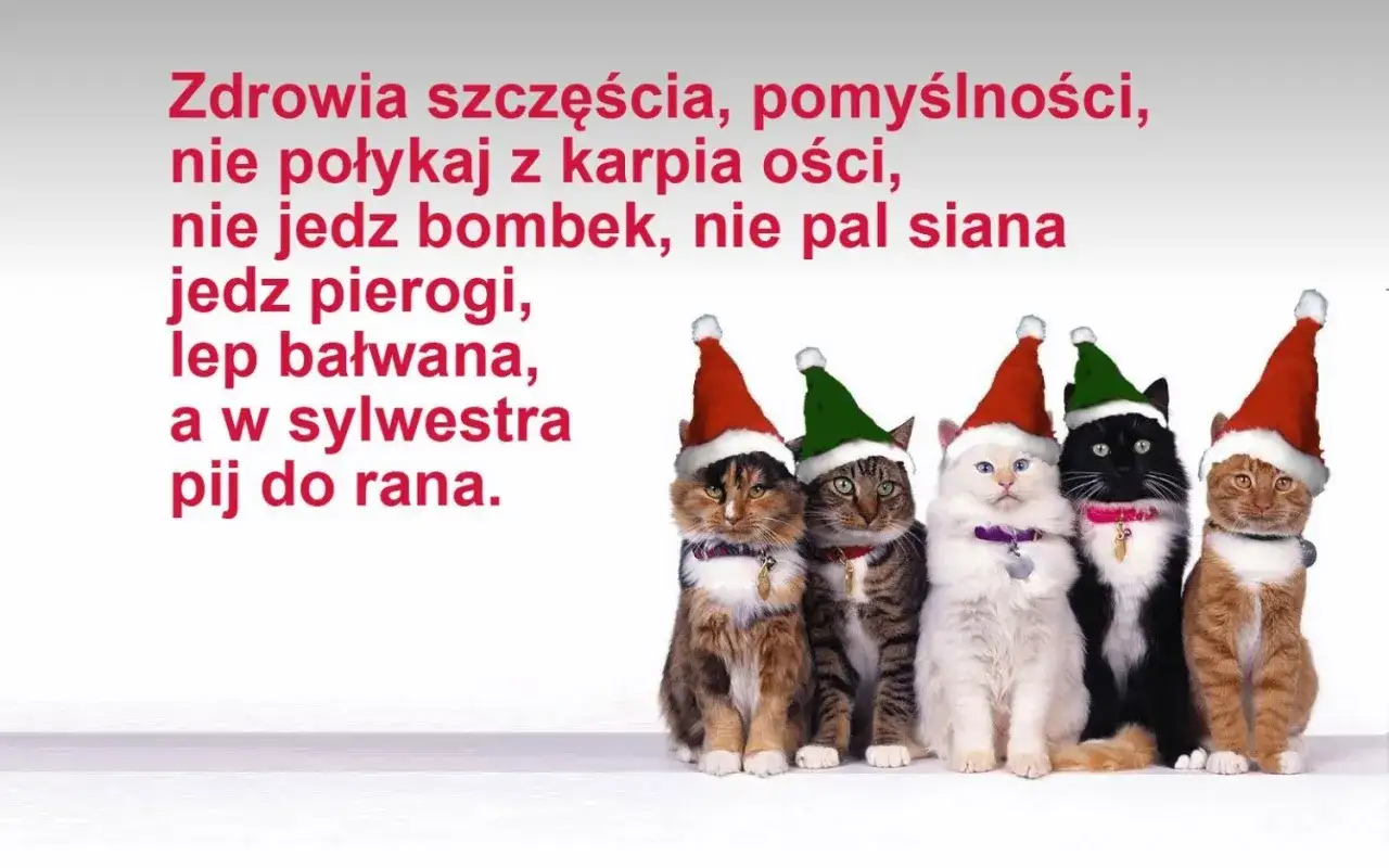 śmieszne życzenia bożonarodzeniowe sms