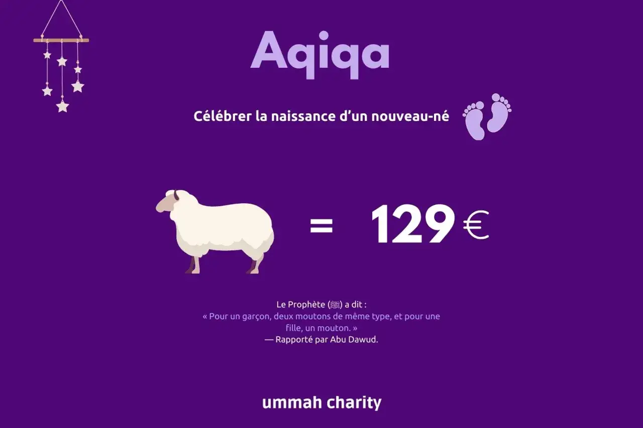 Aqiqa, célébration de la naissance d'un nouveau-né dans l'Islam. Un mouton coûte 129€.