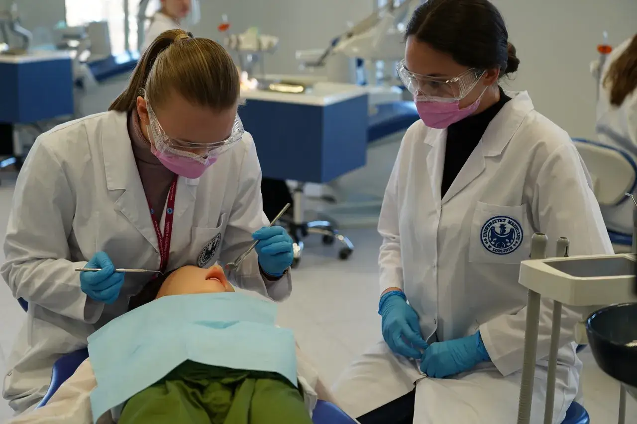 Studentki stomatologii ćwiczą na fantomie. Prywatne studia stomatologiczne to świetny start kariery.