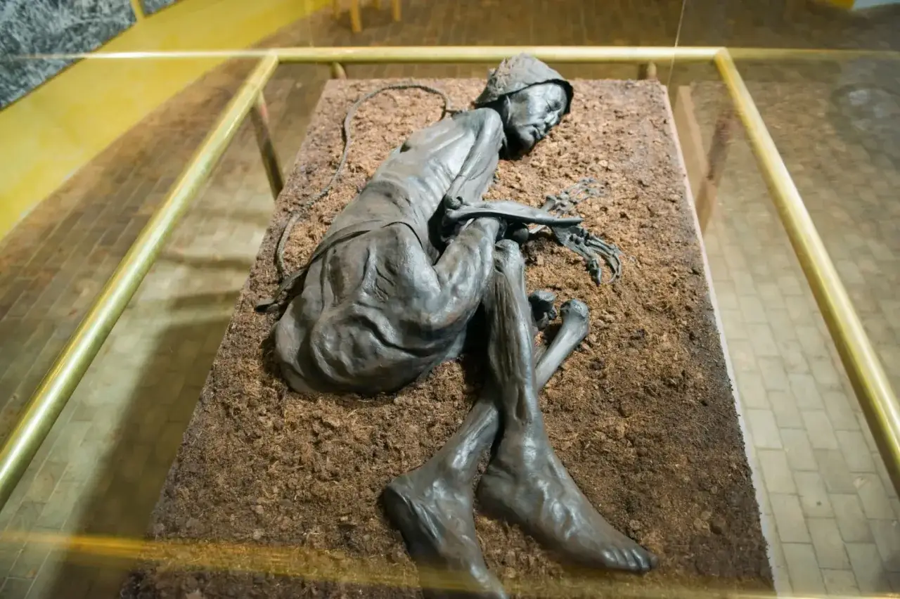 La momie des tourbières, conservée dans la tourbe, repose dans une vitrine. Son corps est remarquablement préservé, offrant un aperçu de la vie ancienne.