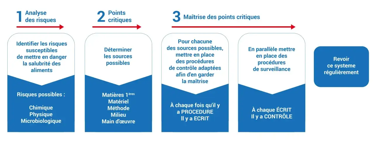 Schéma illustrant les étapes de la réglementation hygiène cantine scolaire : analyse des risques, points critiques, maîtrise et révision du système.
